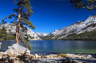 Tenaya Lake-4826.jpg